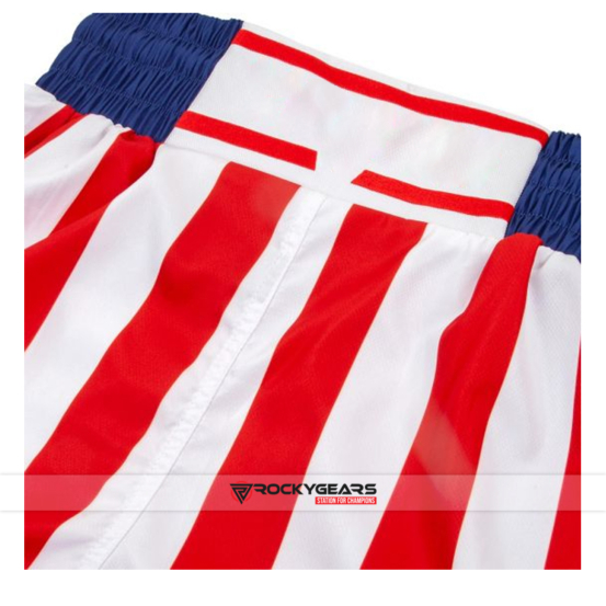 Mens Boxing Shorts