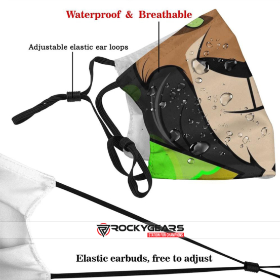 Reusable face mask